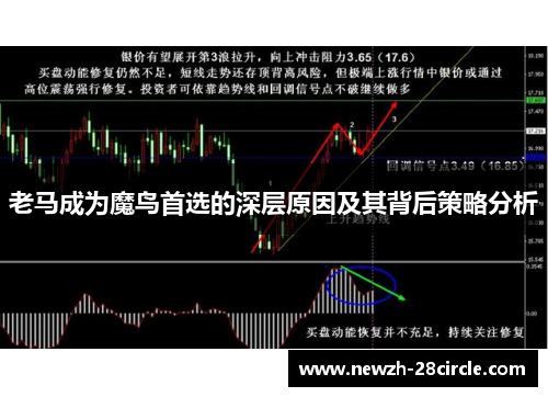 老马成为魔鸟首选的深层原因及其背后策略分析 老马成为魔鸟首选的深层原因及其背后策略分析