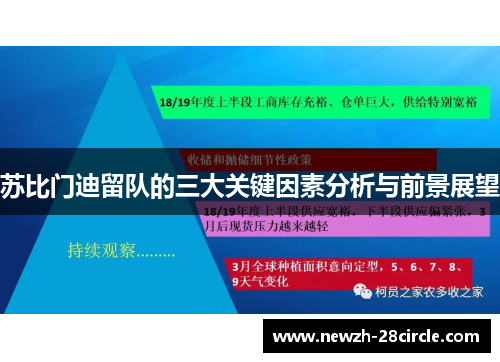 苏比门迪留队的三大关键因素分析与前景展望 苏比门迪留队的三大关键因素分析与前景展望