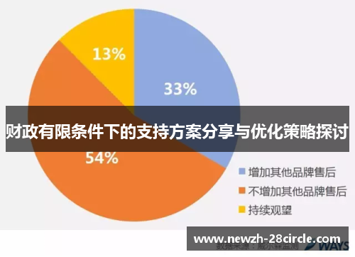 财政有限条件下的支持方案分享与优化策略探讨