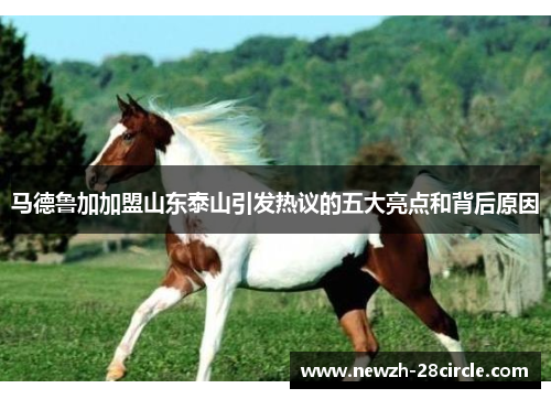 马德鲁加加盟山东泰山引发热议的五大亮点和背后原因 马德鲁加加盟山东泰山引发热议的五大亮点和背后原因