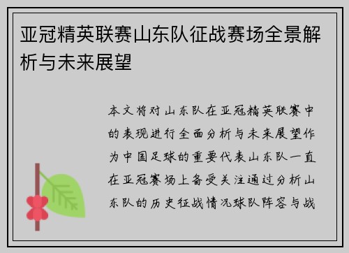 亚冠精英联赛山东队征战赛场全景解析与未来展望